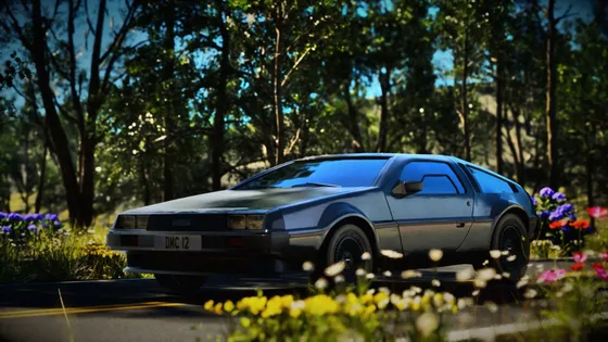 A brushed stainless steel DeLorean DMC-12 on a sunlit woodland road, wildflowers in the foreground and its DMC 12 number plate in view
